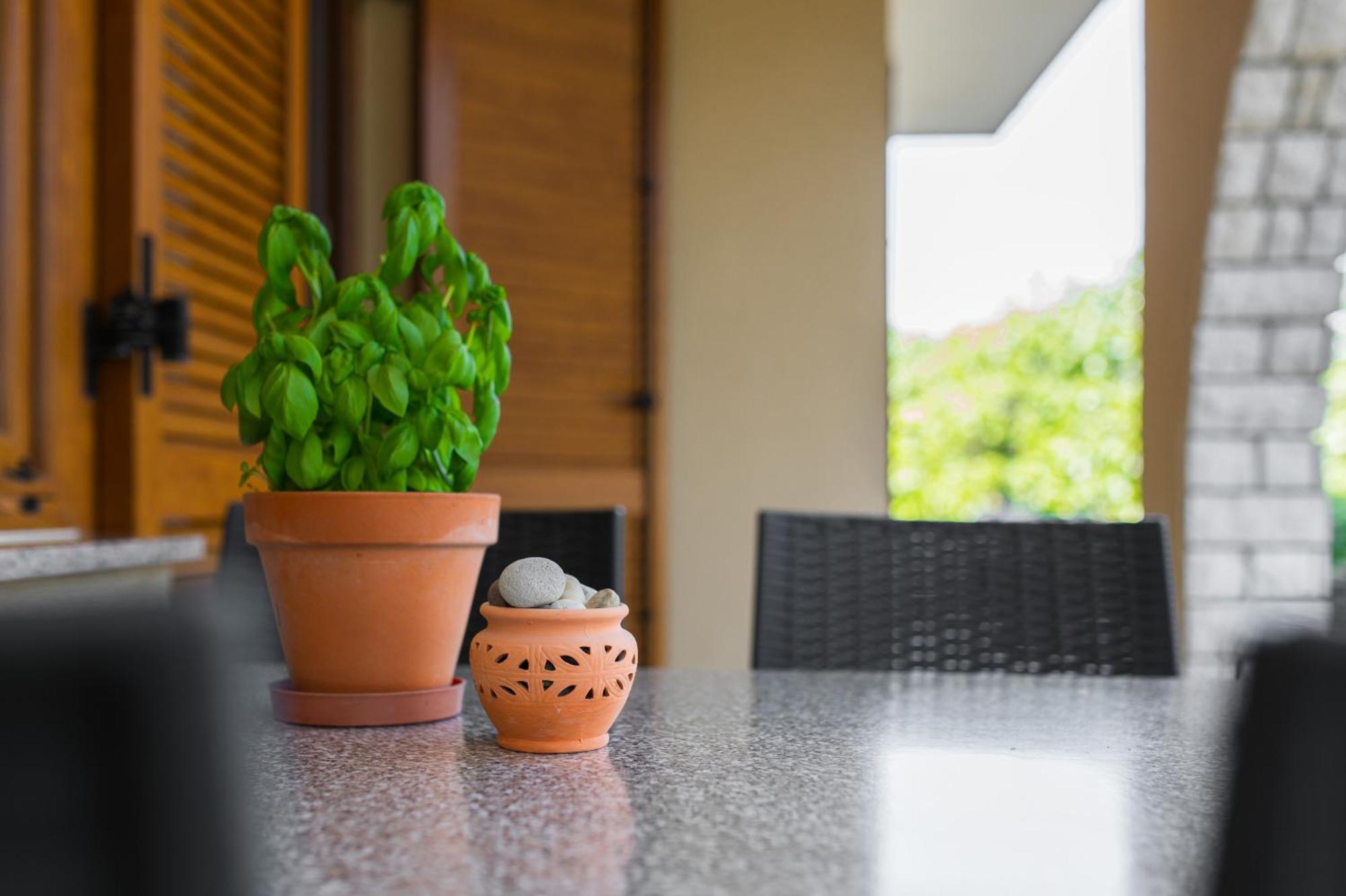 Apartmani Pina 克尔克 外观 照片